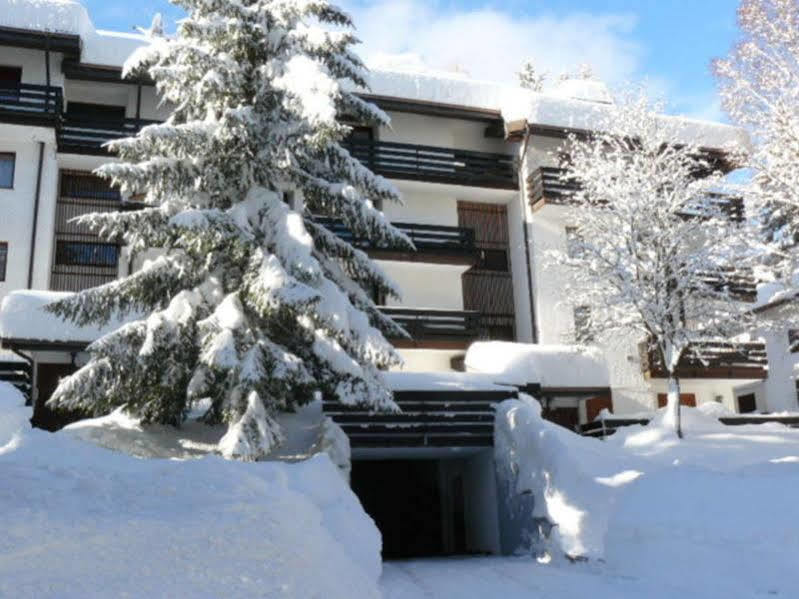 Immobiliare Folgarida Apartments Dış mekan fotoğraf